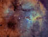 IC 1396-11-7-15-LATROMPA DEL ELEFANTE.jpg (3437390 bytes)