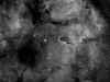 IC 1396 la trompa con nombre.jpg (3787371 bytes)